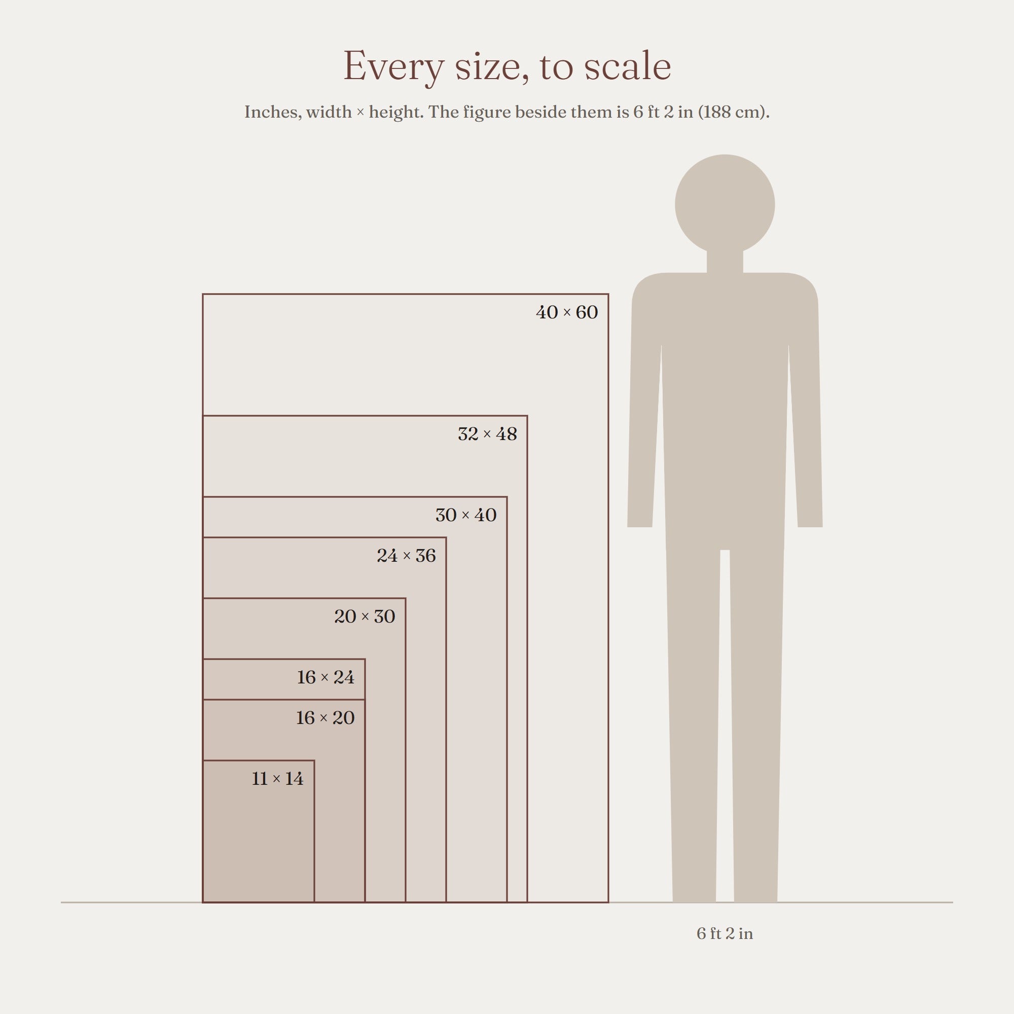 Every canvas size drawn to scale beside a 6 ft 2 in figure